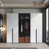Tủ quần áo cánh kính hiện đại LG-TQA250
